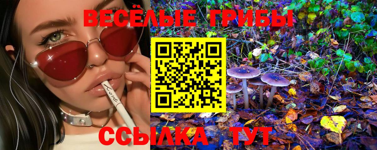 Галлюциногенные грибы Magic Shrooms  Галлюциногенные грибы ЛСД  Вход с VPN  Ульяновск 